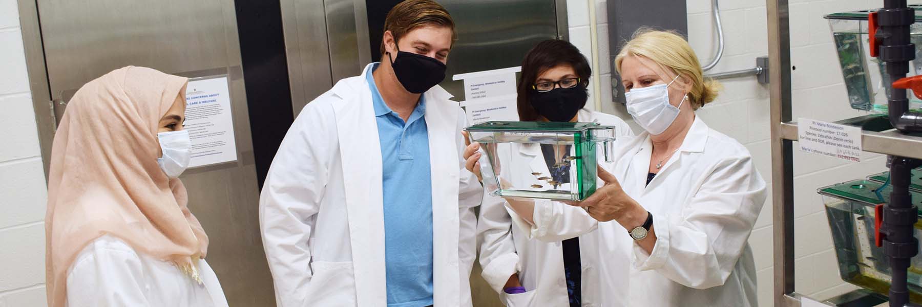 a group of students in a lab looking at fish